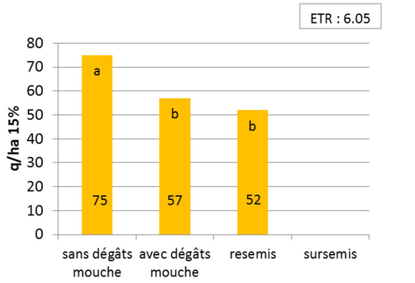 Figure 2 : Rendement en maïs grain à Bignan (56) en 2016