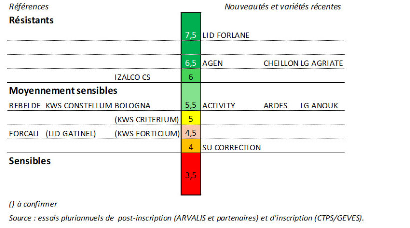Figure 2 : Echelle 2025 de résistance variétale du blé améliorant ou de force à la fusariose des épis (DON)