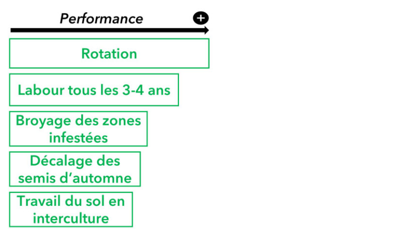 Figure 2 : Comparaison des niveaux de performance de divers leviers agronomiques pour la gestion des graminées