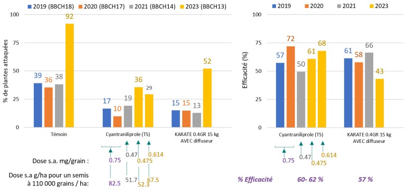 Figure 2 : Efficacité sur géomyze de la solution Lumiposa appliquée en traitement de semences sur maïs - synthèse de 4 essais 2019 à 2023