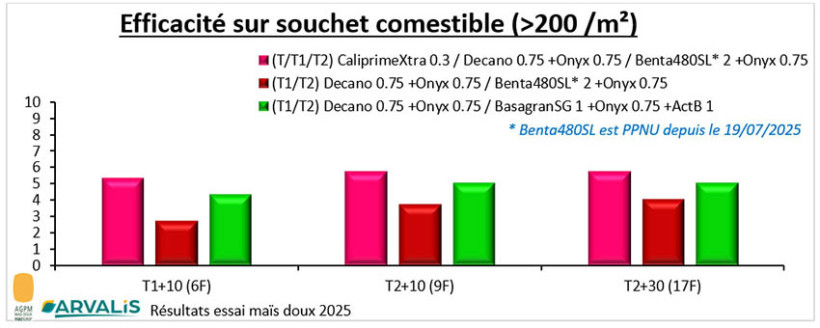 Figure 2 : Efficacité des stratégies de lutte contre le souchet comestible (résultats issus du programme technique AGPM-Maïs doux 2025)