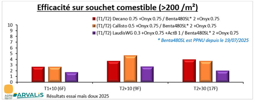 Figure 3 : Efficacité comparée des différentes tricétones sur souchet comestible (programme technique AGPM-maïs doux 2025)