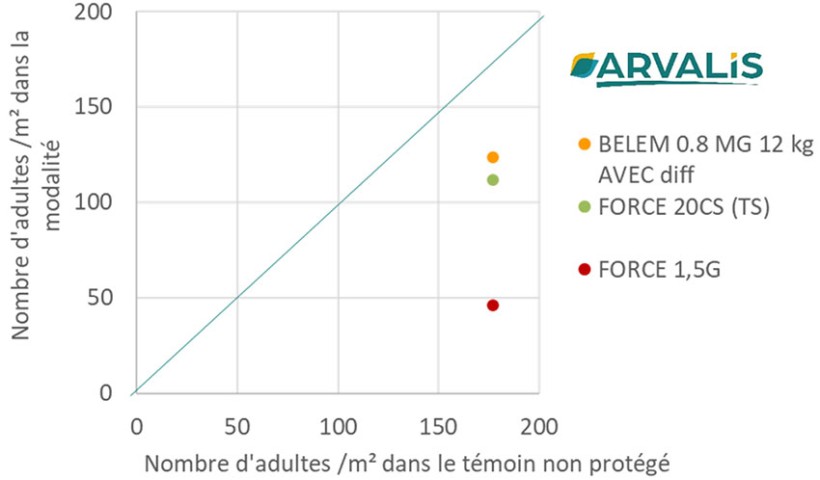 Figure 3 : Comparatif des larvicides - essai ARVALIS, Hombourg 2023