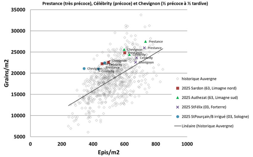 Figure 3 : Nombre de grains par m² en fonction du nombre d’épis par m² (pour illustrer la fertilité) de 3 variétés de précocités différentes