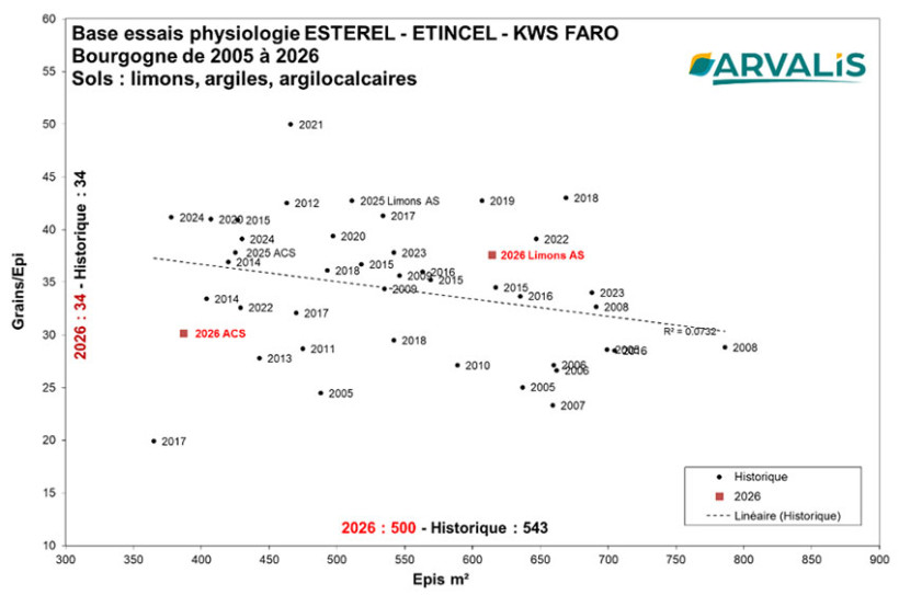 Figure 3 : Fertilité des épis des orges d'hiver en fonction du nombre d'épis par m² dans les essais physiologie d'ARVALIS en Bourgogne de 2005 à 2026 (Estérel, Etincel puis KWS Faro depuis 2022) sur sols limons argileux, argilocalcaire et argile sableuse