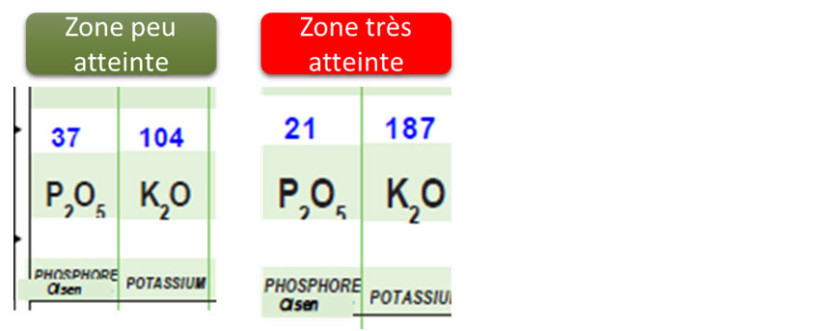 Figure 3 : Extrait Analyse de terre sur la parcelle avec une carence en phosphore sur dérobée de ray-grass
