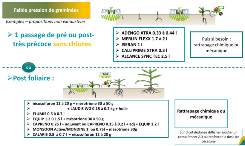 Figure 3 : Exemple de stratégies pour les situations à faible pression graminées