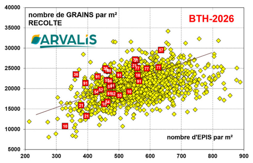 Figure 3 : Nombre de grains/m² au sein de l’observatoire ARVALIS