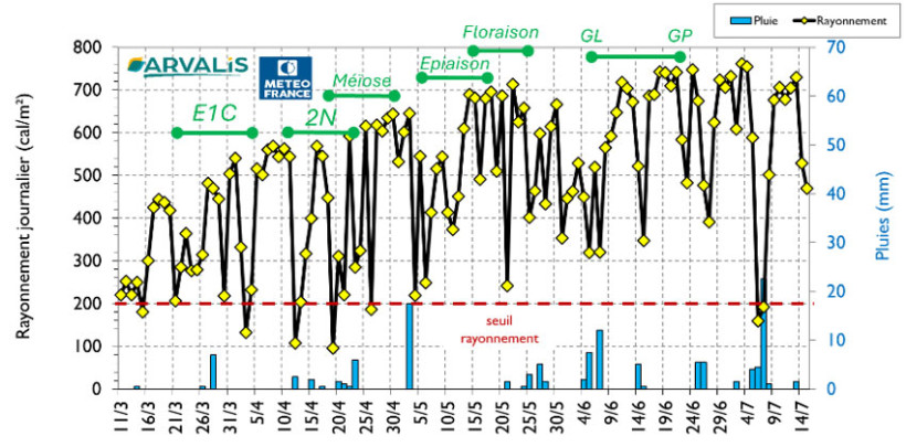 Figure 3 : Rayonnement journalier (courbe noire et points jaunes) et pluviométrie (barres bleues) au cours de la montaison jusqu’à maturité du blé