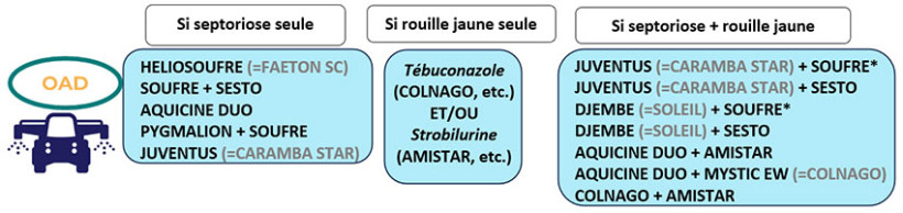 Figure 3 : Solutions fongicides selon la cible