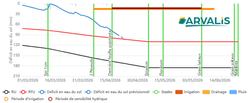 Figure 3 : Bilan hydrique pour la variété ANVERGUR (blé dur), semis du 1er novembre, limon (RU = 180 mm ; RFU = 110 mm) à Ouzouer-le-Marché (41)