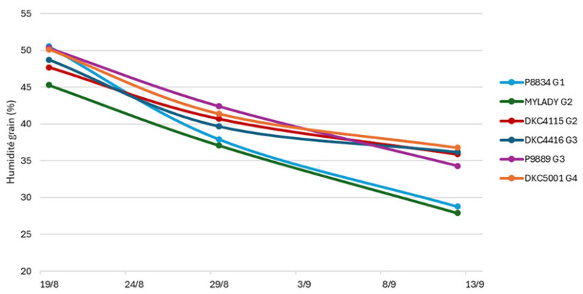 Figure 3  : Suivi de l’humidité du grain en % pour différentes variétés – Semis du 5 avril - Floraison femelle le 7 juillet - Situation irriguée – Breçy (18)