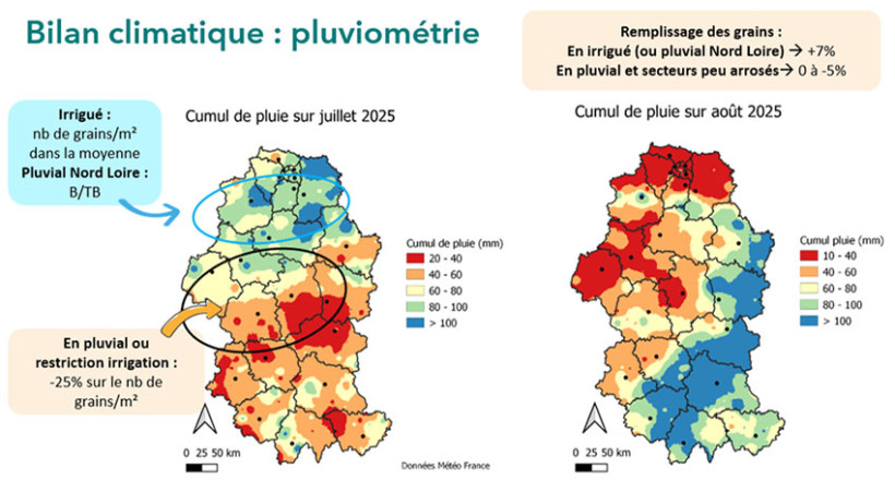 Figure 3 : Bilan de pluviométrie pendant l’été 2025 et conséquences sur les composantes de rendement