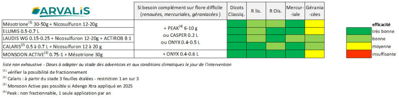 Tableau 3 : Propositions de rattrapage en postlevée sur dicotylédones classiques et difficiles