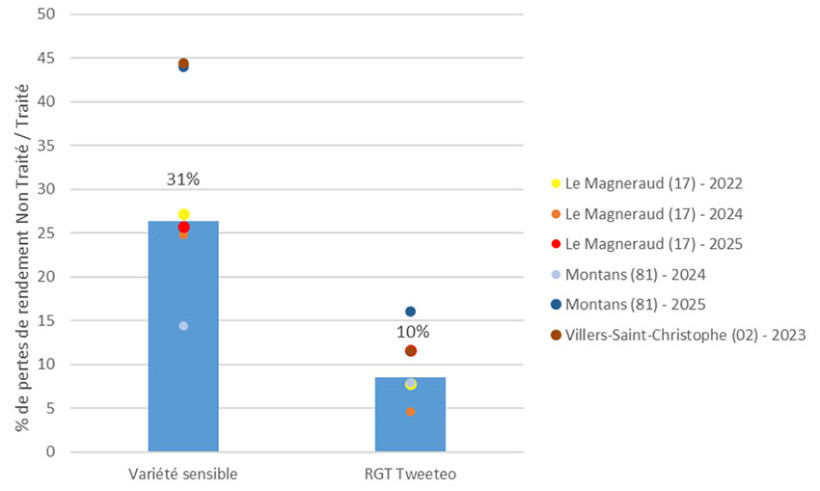 Figure 3 : Pertes de rendement des variétés de blé tendre entre des microparcelles protégées via deux traitements (Karaté Zéon) et non traitées