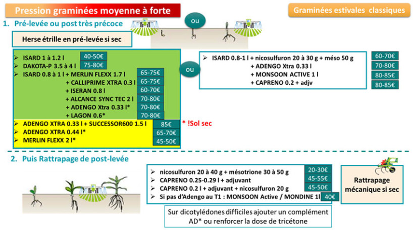 Figure 3 : Exemples de programmes de désherbage du maïs en présence de graminées estivales