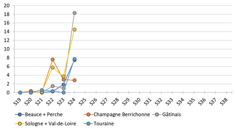 Figure 3 : Evolution du nombre moyen de pyrales piégées par secteur