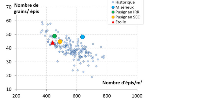 Figure 3 : Fertilité épis 2026