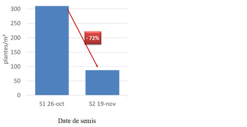 Figure 3 : Nombre de ray-grass/m2 et pourcentage d’efficacité en fonction de la date de semis - Essai ARVALIS de Montesquieu Lauragais (31) sur sol argilo-calcaire - (Essai combinaison de leviers, 2022)