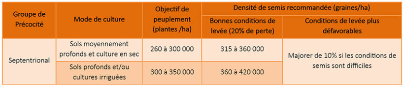 Tableau 1 : Recommandations de densité de semis pour le sorgho grain