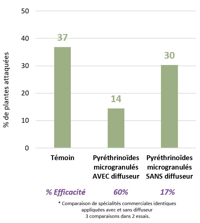 Figure 3 : Comparaison de la protection du maïs contre la géomyze à l’aide de produits microgranulés appliqués avec ou sans diffuseur – Synthèse des essais 2020 et 2021