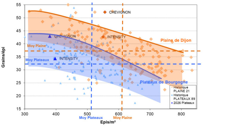 Figure 4. Fertilité des épis (grains/épis) en fonction du nombre d'épis/m² dans nos essais physiologie en plaine de Dijon et sur les plateaux de Bourgogne
