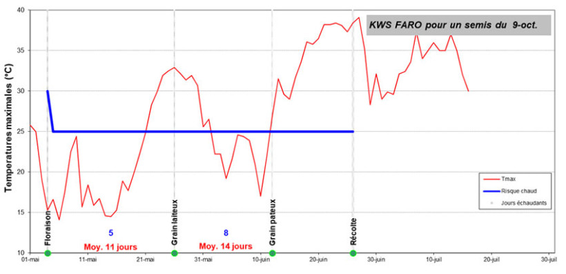 Figure 4 : Evolution du risque d'échaudage sur la station météo de Dijon pour une orge d'hiver de la variété KWS Faro pour un semis du 9 octobre 2025