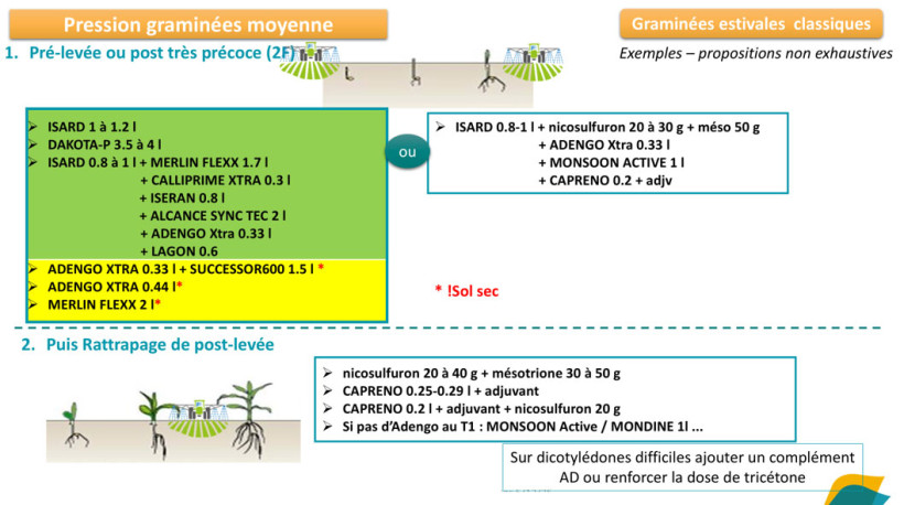 Figure 4 : Exemple de stratégies pour les situations à pression graminées moyenne.