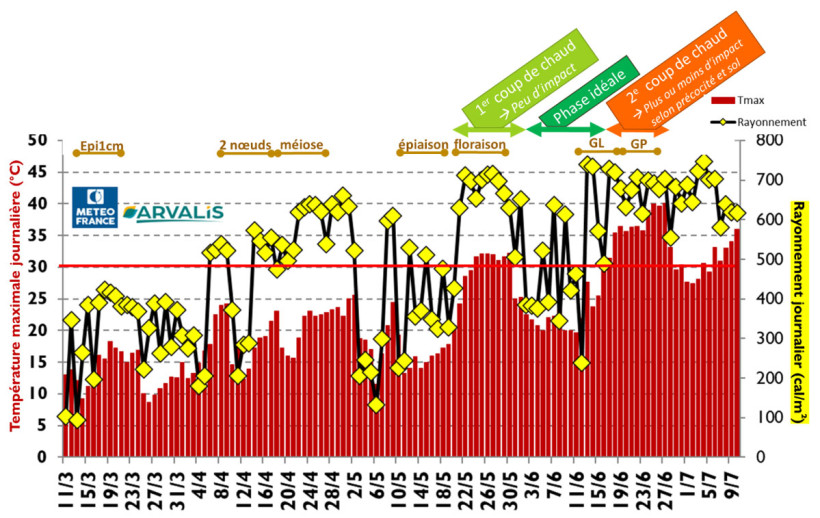 Figure 4 : Conditions climatiques pendant la montaison et le remplissage des blés