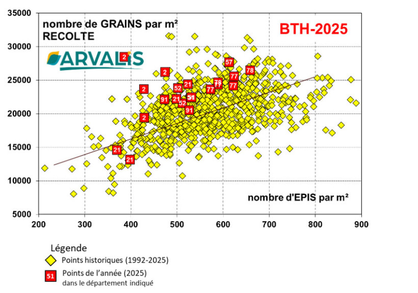 Figure 4 : Nombre de grains /m² en fonction du nombre d’épis/m². Observatoire ARVALIS