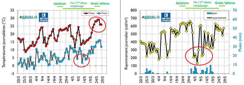 Figure 4 : Offre climatique (températures, pluies et rayonnement) selon les stades des orges d’hiver en 2026