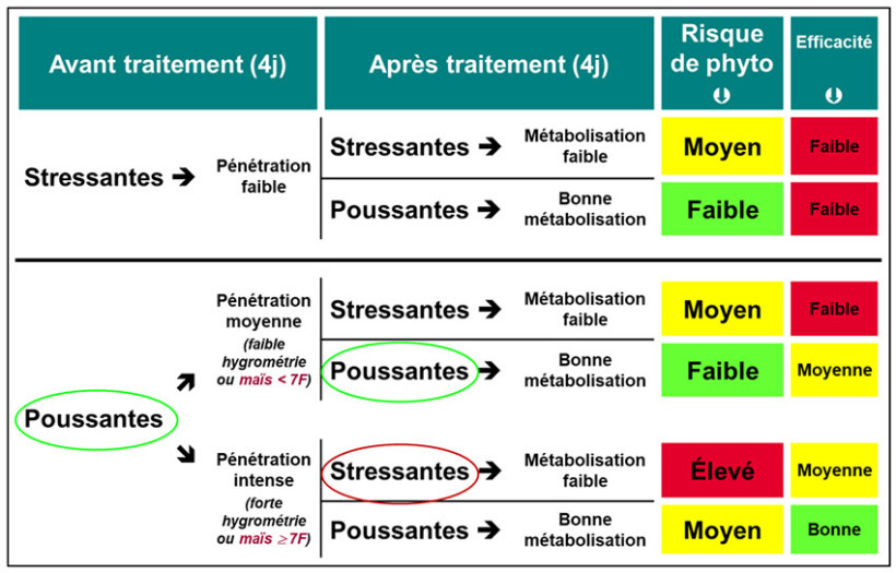 Tableau 4 : Facteurs jouant sur l’efficacité et la phytotoxicité des herbicides foliaires en postlevée du maïs