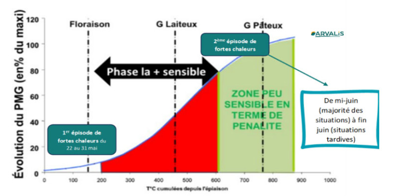 Figure 4 : Evolution du PMG selon les températures