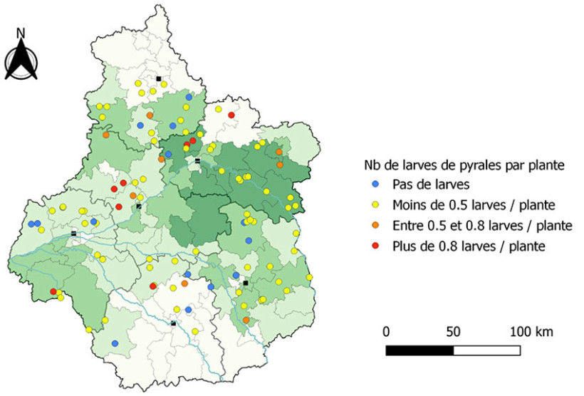 Carte 1 : Infestations larvaires en pyrales sur la région Centre en 2025