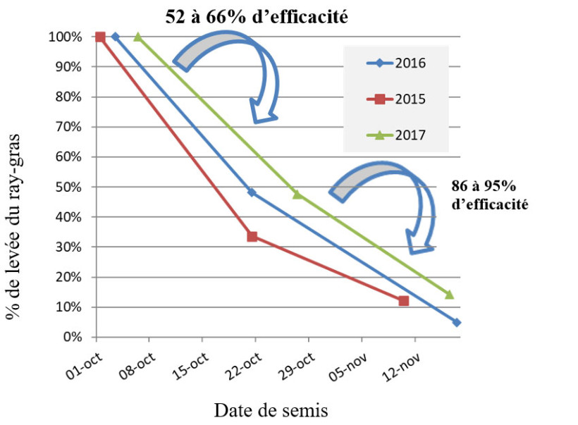 Figure 4 : Proportion (%) de levées des ray-grass en fonction de la date de semis – essai ARVALIS de Mespuits (91) – automne 2015-2017 sur sol argilo-calcaire moyen (2016, 2017)