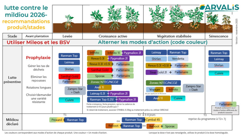 Tableau 1 : Produits et stades d’application pour lutter contre le mildiou de la pomme de terre (version de novembre 2025)