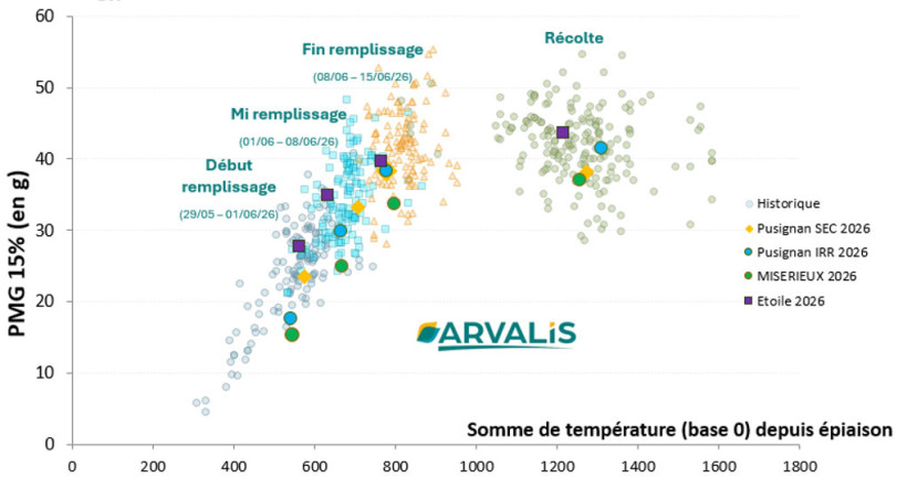 Figure 4 : Cinétique de remplissage du grain pour le blé 2026 dans 4 situations en Rhône-Alpes, observatoire ARVALIS 2026