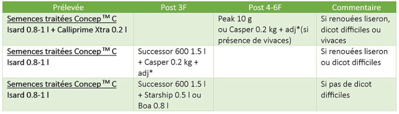 Tableau 2 : Exemples de programmes herbicides sur sorgho avec une pression faible à moyenne en ray-grass + dicotylédones 