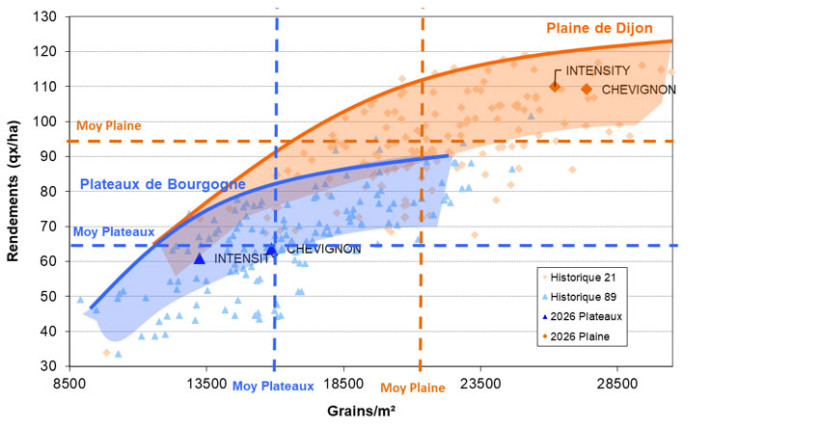 Figure 5. Rendements en fonction du nombre de grains/m² dans nos essais physiologie en plaine de Dijon et sur les plateaux de Bourgogne