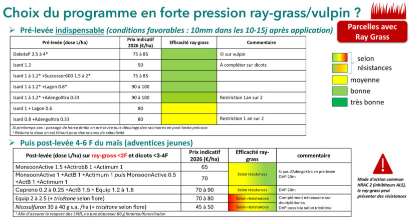Figure 5 : Exemple de stratégies pour les situations à forte pression graminées