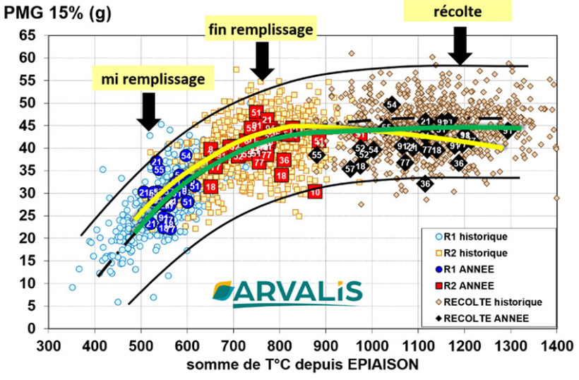Figure 5 : Dynamique de remplissage des blés sur l’observatoire ARVALIS 2026