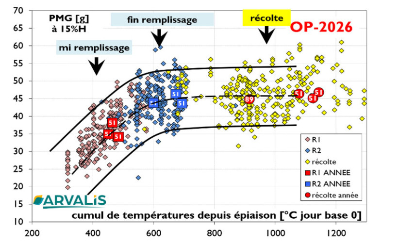 Figure 5 : Cinétique de remplissage des orges de printemps, essais ARVALIS      
