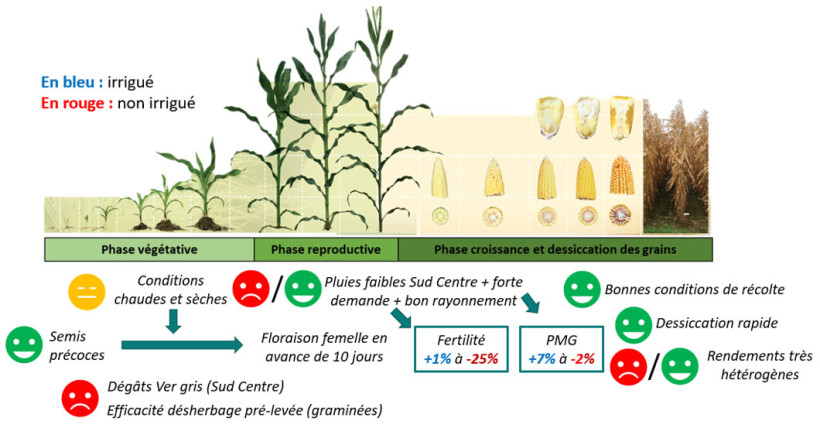 Figure 5 : Résumé de la campagne 2025 maïs grain en région Centre et Ile-de-France