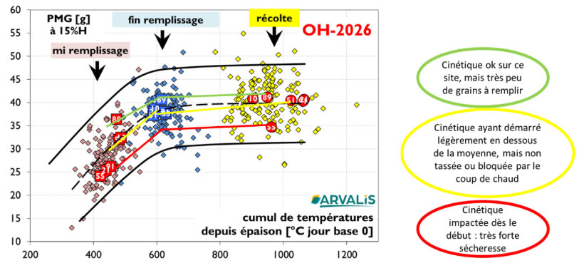 Figure 6 : Cinétique de remplissage des orges d’hiver 