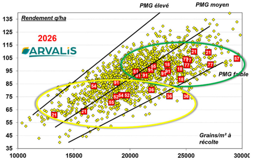 Figure 6 : Rendement en fonction du nombre de grains par m² sur l’observatoire ARVALIS 2026