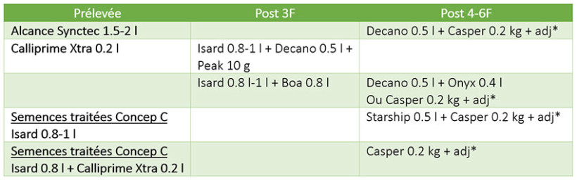 Tableau 4 : Exemples de programmes herbicides sur sorgho avec une pression moyenne à forte PSD + dicotylédones difficiles (datura, lampourde, ambroisie)