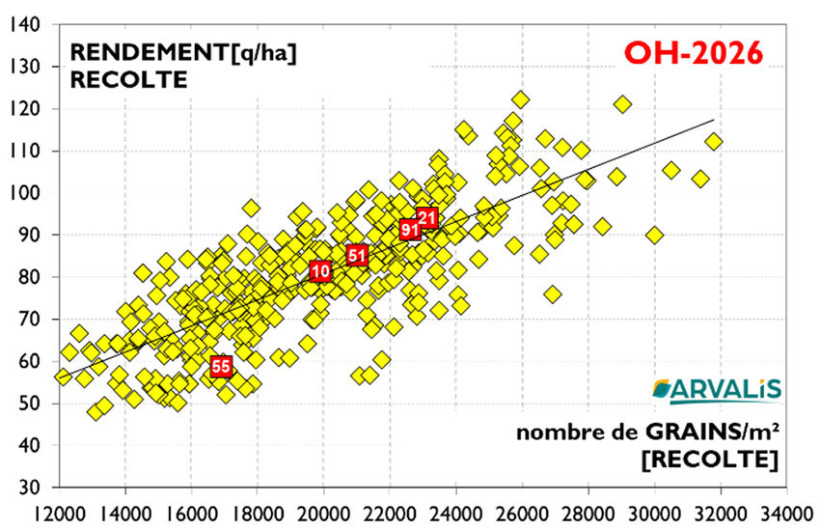 Figure 7 : Nombre de grains par m² à la récolte et rendement (en q/ha) des orges d’hiver 