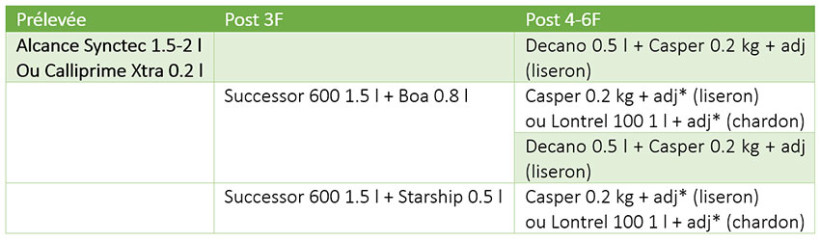 Tableau 5 : exemples de programmes herbicides sur sorgho avec une pression faible à moyenne PSD + dicotylédones annuelles et vivaces