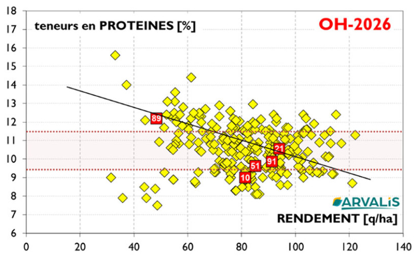Figure 8 : Rendement (en q/ha) et teneur en protéines (en %) des orges d’hiver récoltées en 2026