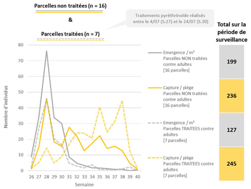 Figure 1 : Résultats des suivis chrysomèles en maïs de 2023 à 2025